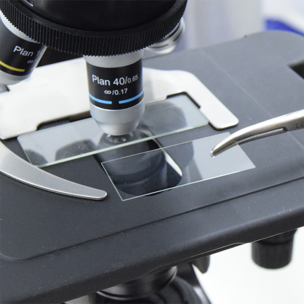 ima_cubreobjetos_24x50mm_04_vf