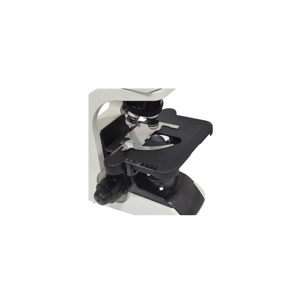 Microscopio binocular Microscopio binocular