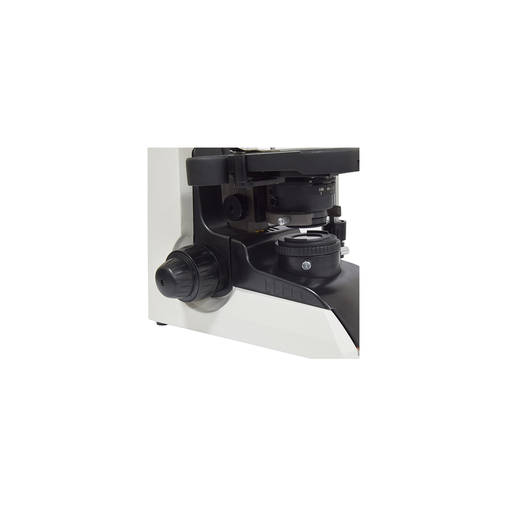 Microscopio binocular Microscopio binocular