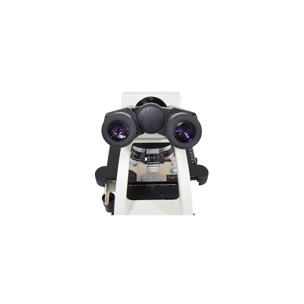 Microscopio binocular Microscopio binocular