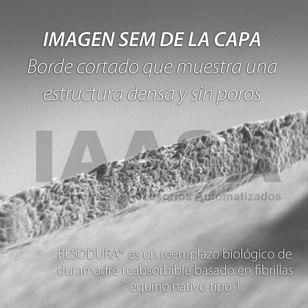 Print